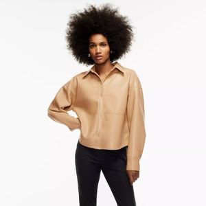 Aritzia Babaton Relaxed Pelli Leather Hip Shirt Jacket